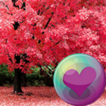 Logo of Pretty Pink Color HD Wallpapers android Application 